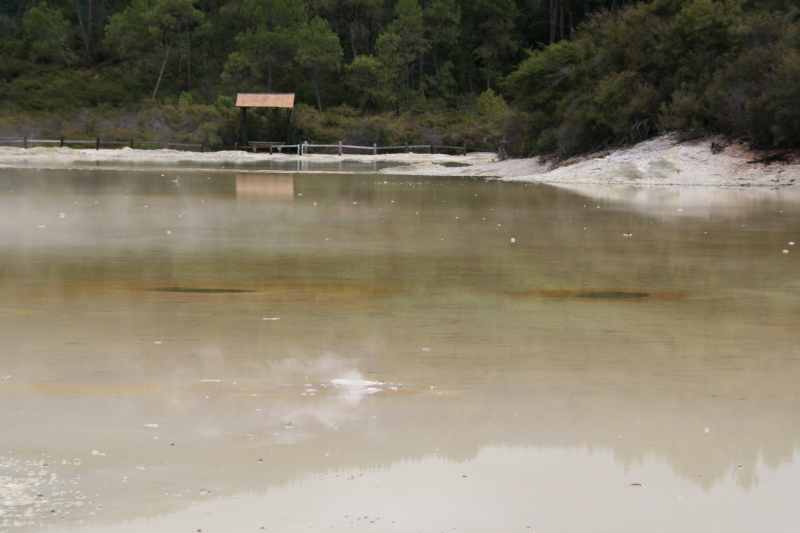 Nieuw-Zeeland 2011 - 0759